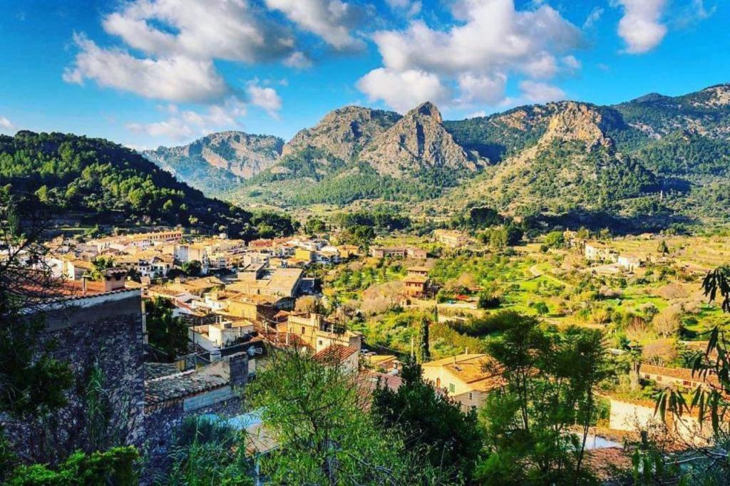 Pòrtol District on Majorca: A Guide to a Prestigious 