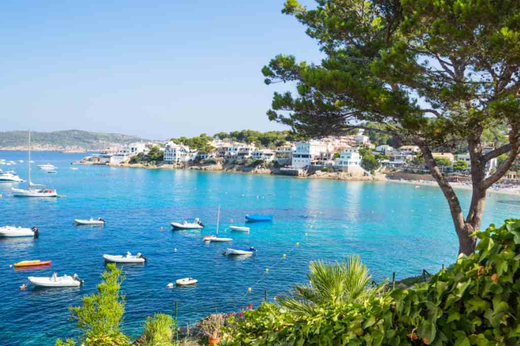Is it cheaper to live in Mallorca, Spain, or UK — 2024 prices comparison
