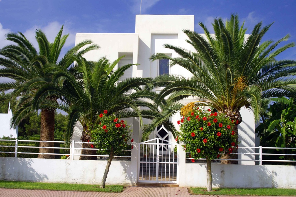 House with palms and hibiscus in Majorca