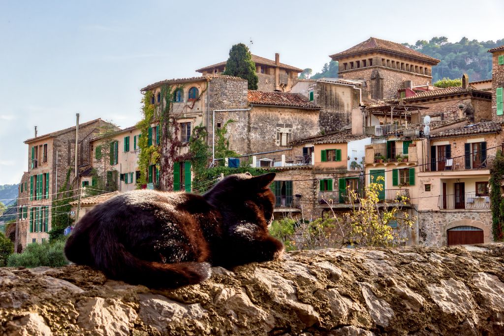 Cat basking in the sun on an ancient town wall in Valldemosa