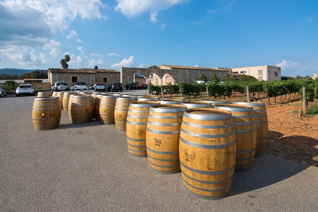 Wine barrels in the square in front of one of the many wineries in Binissalem