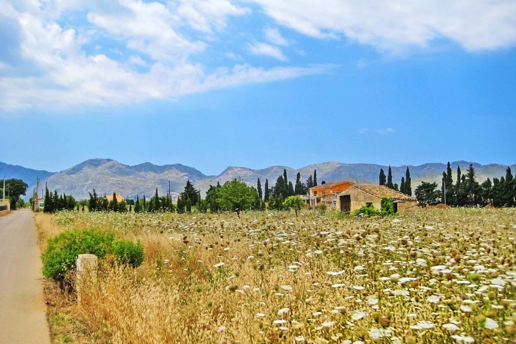 rural landscape in the north of Mallorca