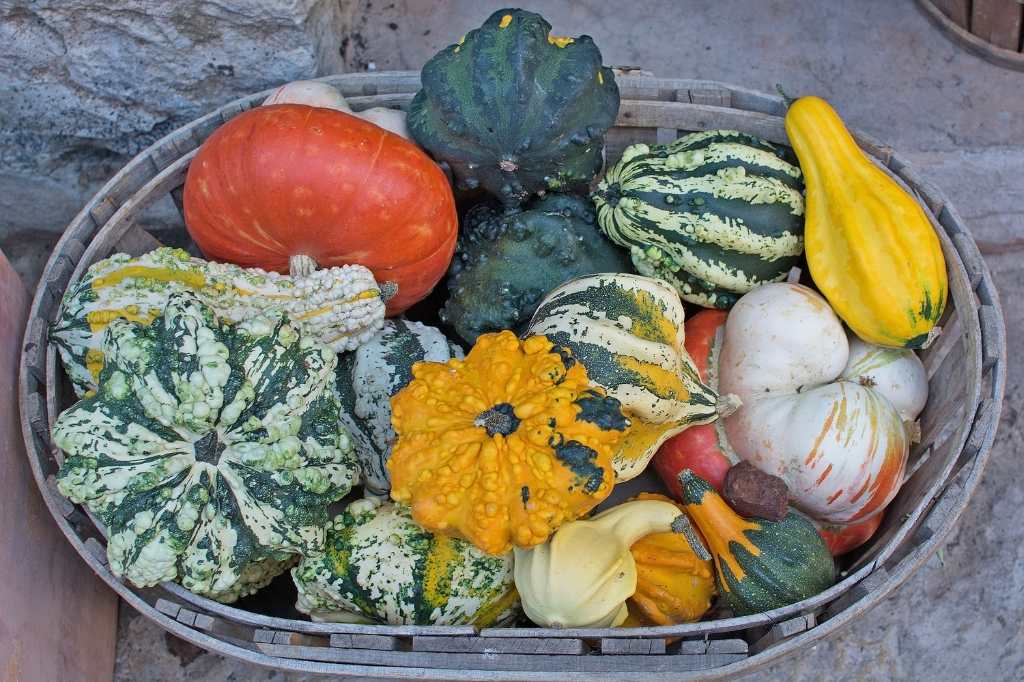 Colorful Squashes and Pumpkins on display in a street market in Majorca 