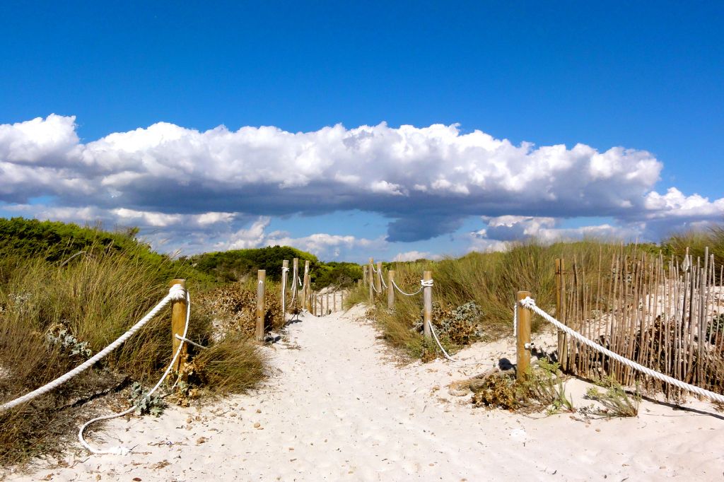 path through the dunes to Es Trenc beach