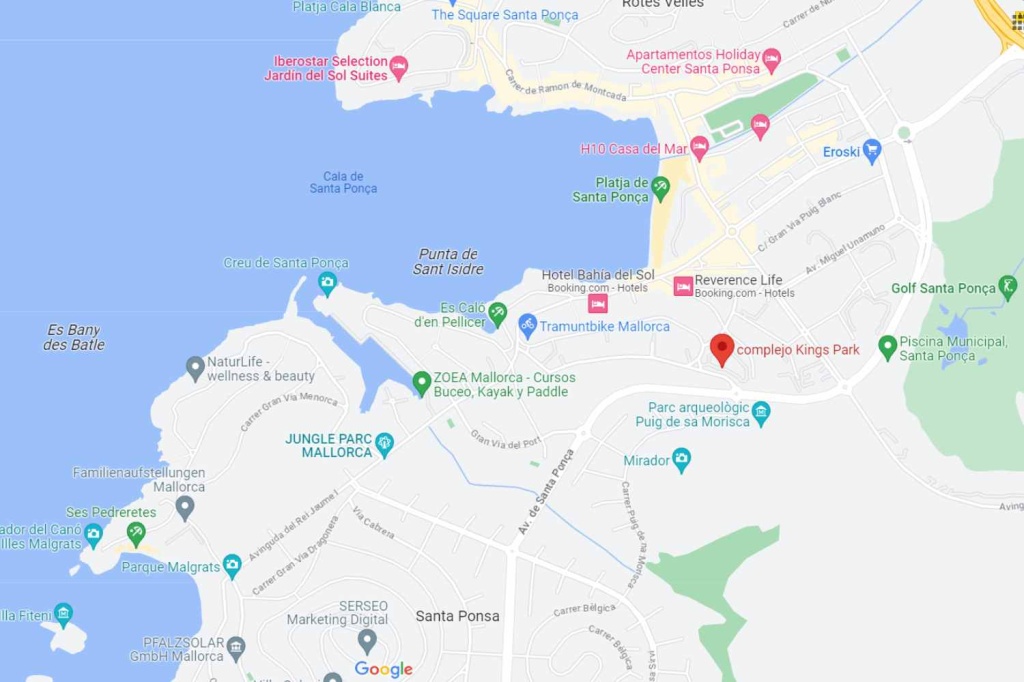 Kings Park residences on google map