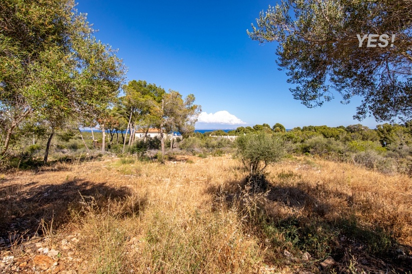 Plot with stunning sea views in Sol de Mallorca