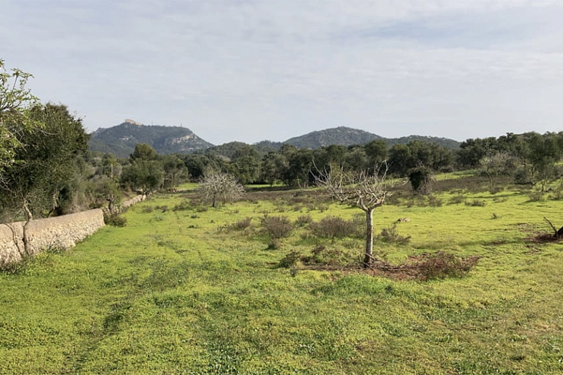 Plot of land with finished finca project in Santanyi