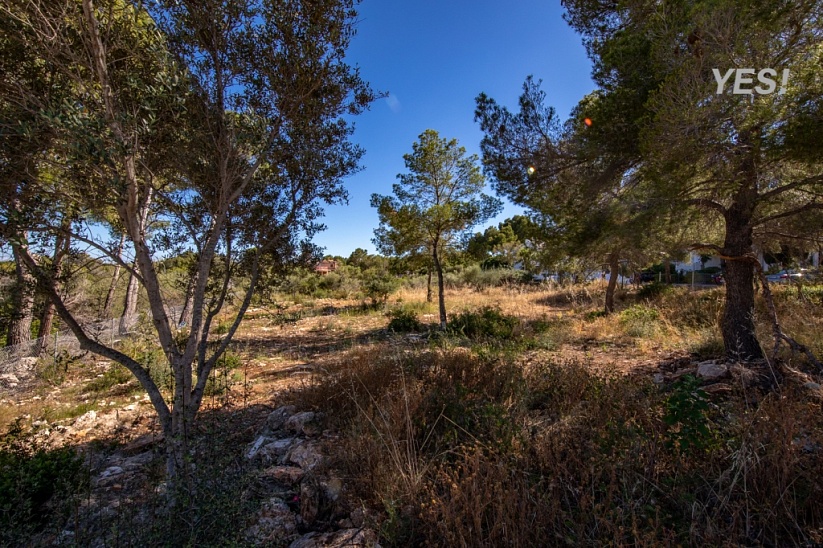 Plot with stunning sea views in Sol de Mallorca