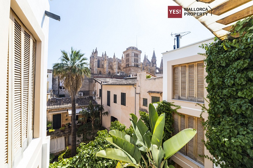 The building 7 floors in the center of Palma with views of the Cathedral