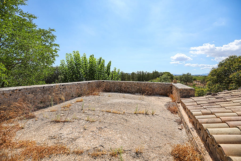 Old finca with winery in Consell