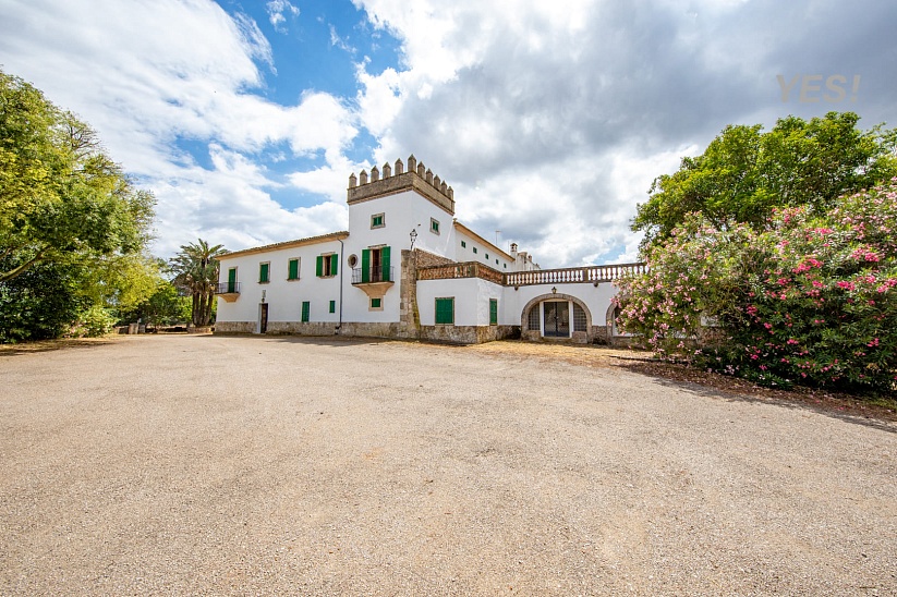 Manor with forest land and large agrarian territory in Maria de la Salud