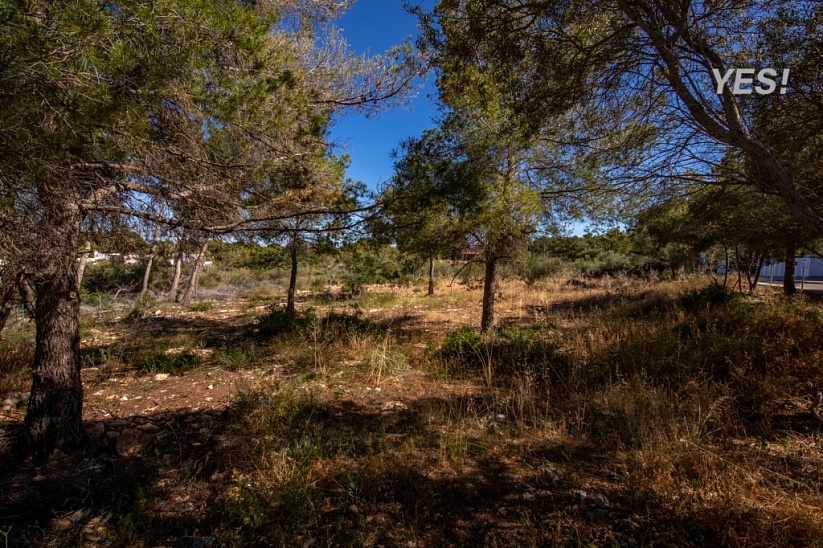 Plot with stunning sea views in Sol de Mallorca