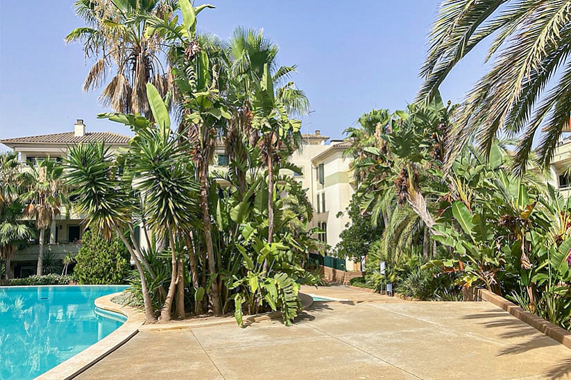 Bright modern apartment in a prestigious complex with a garden and a swimming pool in San Agusti