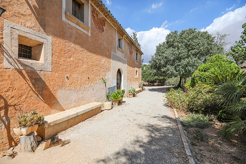 Old finca with winery in Consell