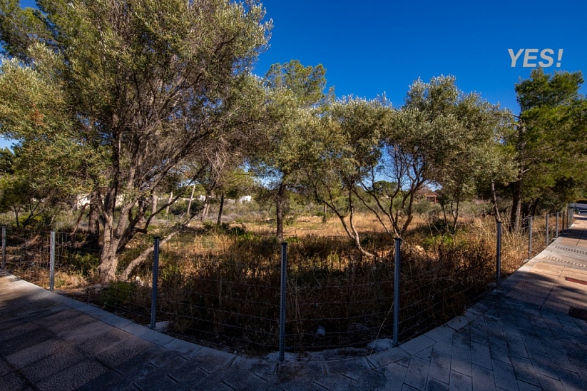 Plot with stunning sea views in Sol de Mallorca