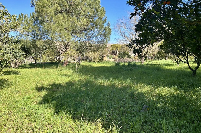 House with large garden to reform in Manacor