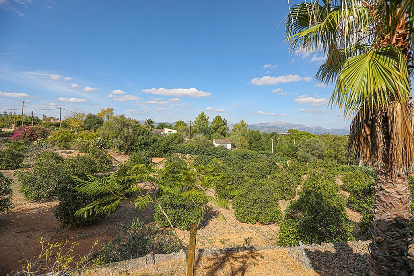 Delightful finca with guest house and garden in Biniali