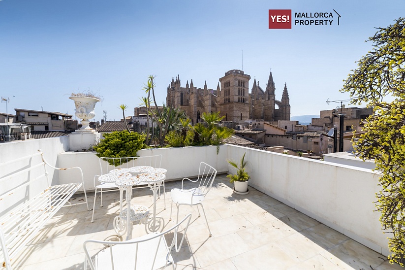 The building 7 floors in the center of Palma with views of the Cathedral