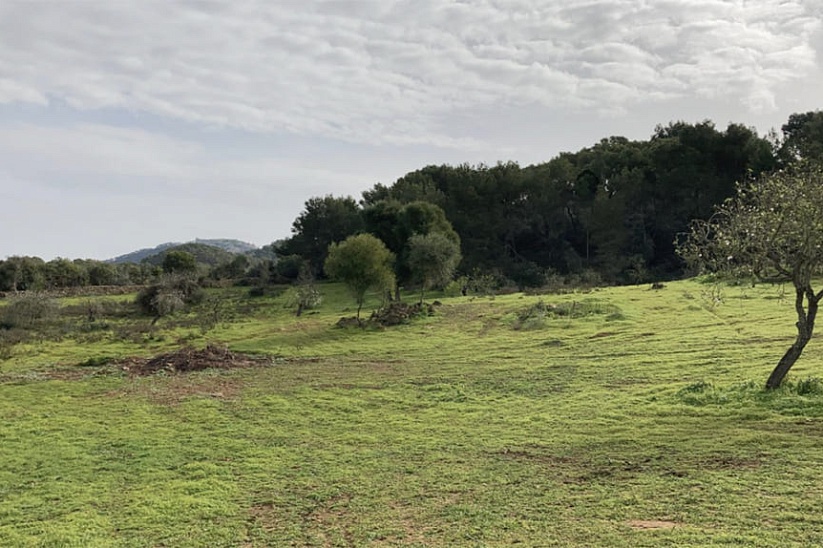 Plot of land with finished finca project in Santanyi